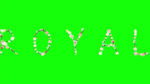 Professional Clock Motion Green Screen Element Stock Footage 337996683