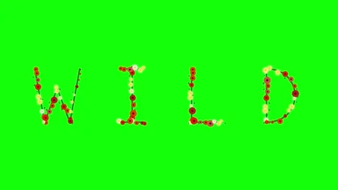 Professional Clock Professional with Flowers Green Screen Element Stock Footage 337996880