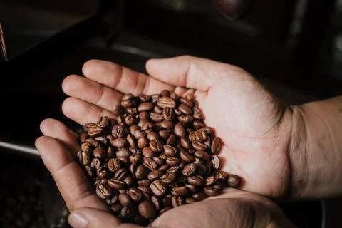 Professional coffee bean roasting Stock Photos