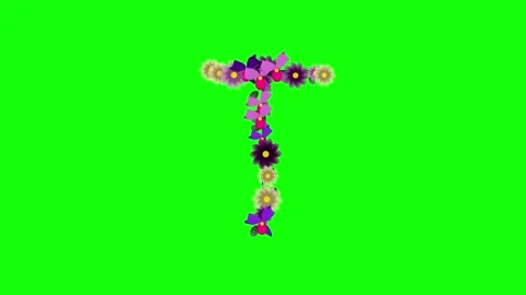 Professional Colorful Moving Green Screen Element Stock Footage 337996444