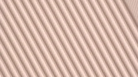 Professional compact face powder, macro texture, rotation. Decorative cosme.. Stock Footage 260241038