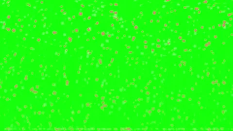 Professional Con Green Screen Element 库存影片 342788018