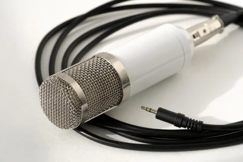 Professional condenser studio microphone on the white background Foto stock