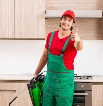 Professional contractor doing pest control at kitchen Stock Photos