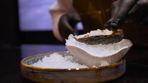 The professional cook is putting the oyster in a small plate with ice. A Video stock 196817876