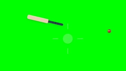 Professional Cricket Bat and Ball Motion Graphic with Detailed Willow Wood .. Stock Footage 346611935