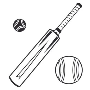 Professional Cricket Bat Flat Vector Graphic Stock Illustration