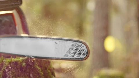 Professional cutting and cleaning of old trees in autumn forest 스톡 동영상 118432953