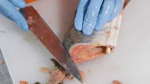 Professional cutting of raw red salmon fish Stock Footage 118976316