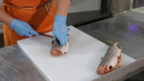 Professional cutting of raw red salmon fish. Stock Footage 118976319