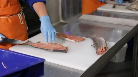 Professional cutting of raw red salmon fish. Stock Footage 118976324