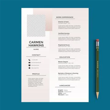 Professional CV resume template design vector minimalist. Clean Modern Resume Stock Illustration