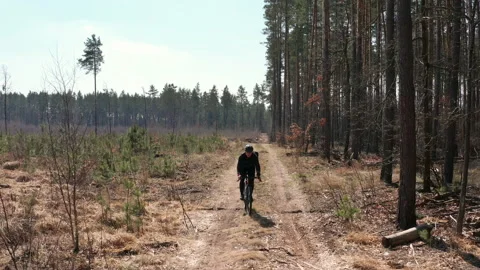 Professional cyclist riding on a bumpy dirt road in the forest. Sport activity. Video stock 152095721