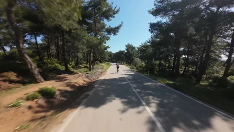A professional cyclist training on a paved road through a pine forest Stock Footage 339231349