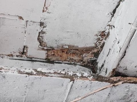 Professional Damage Documentation Timber Rot and Paint Failure Stock Photos