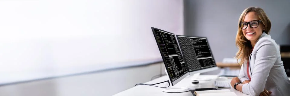 Professional Data Analyst Foto stock