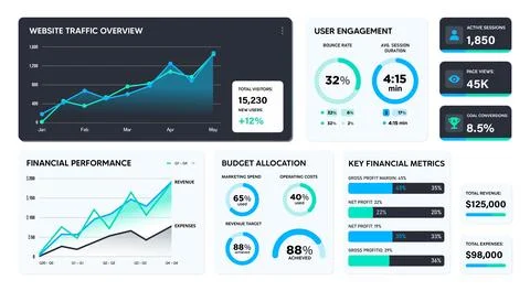 Professional Data Visualization Dashboard for Business Analytics and Financ.. Stock Illustration