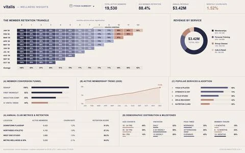 Professional data visualization interface displaying fitness center revenue,  Stock Illustration