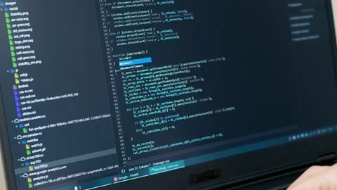 Professional Debugger Programs, Developer Programmer Writes Code, Encodes. Progr Stock Footage 145581220