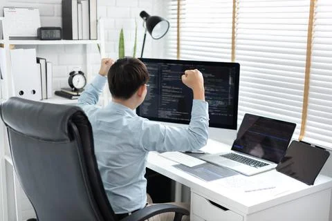 Professional development programmers are delighted with their successful and 스톡 사진