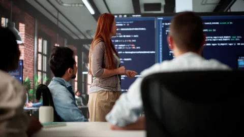 Professional Development Session For Coders Stock Footage 316442230