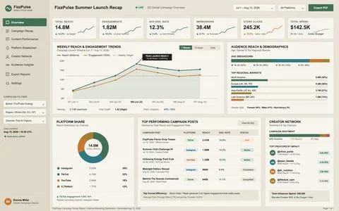 Professional digital interface displaying marketing campaign data, reach tren Stock Illustration