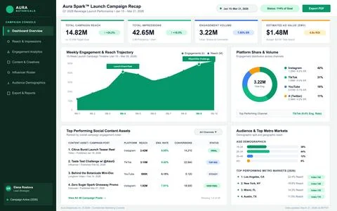 Professional digital interface displaying marketing campaign metrics, engagem Stock Illustration