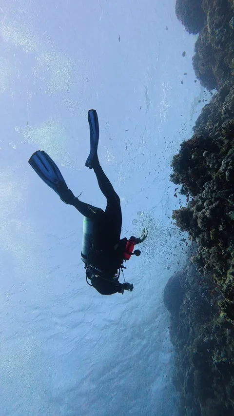 Professional diver in full gear exploring the deep blue sea next 스톡 동영상 341636578