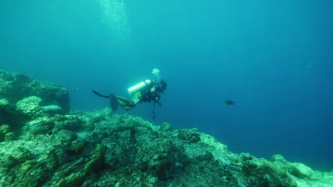 Professional diver in special suit explores bottom of reef Stock Footage 305958565