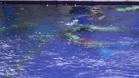 Professional diver training in pool, practicing diving techniques and emerg.. Stock Footage 299043931