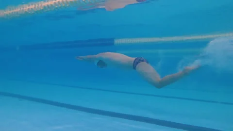 Professional diving in pool. Man athlete swimmer jumps into the water during Video stock 255212172