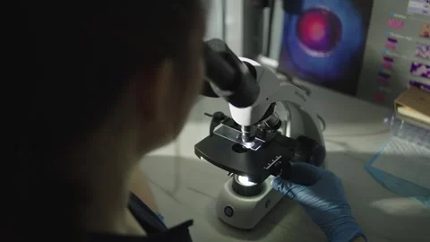 A professional doctor is looking into a microscope in a laboratory. Stock Footage 241231166