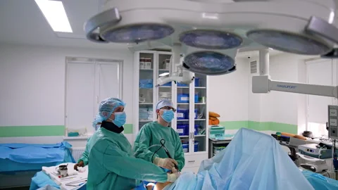 Professional doctors working in the spacious surgery room.  Stock Footage 252049668