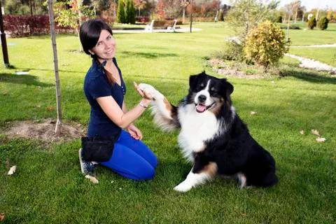 Professional Dog Handler Stock Photos