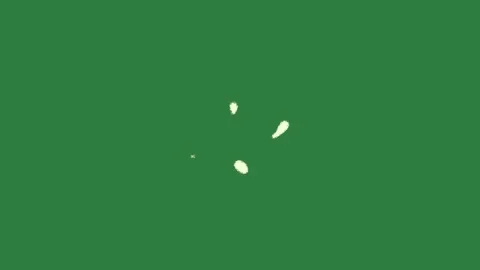 Professional Dots Professional Green Screen Element Stock Footage 338017578