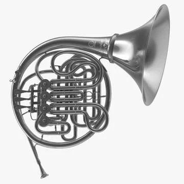 Professional Double French Horn Silver 3D Model 3D Model