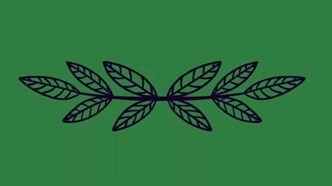 Professional Drawing Looping Element Stock Footage 338016332