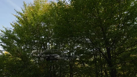 Professional drone flying near bright green trees in forest Stock Footage 320891253