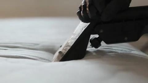 Professional dry cleaning service. Close-up view of spray extraction cleaning Stock Footage 309909441