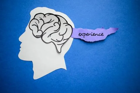 Professional Experience Concept with Human Profile Silhouette and Brain Icon Stock Photos