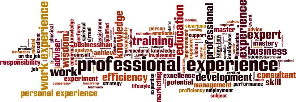 Professional experience word cloud Stock Illustration