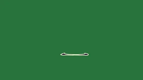 Professional Eyes Animated Green Screen Element Stock Footage 338014164