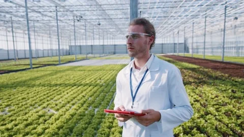Professional farm scientist bearded worker using digital tablet for climate Stock Footage 142720480