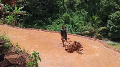 Professional farmer operating a modern power tiller in a waterlogged rice field. Stock Footage 321930179