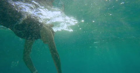 Professional female surfer diving under ocean wave and swimming with surfboard i Video stock 199459811
