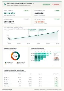 Professional financial dashboard vector displaying annual revenue, customer a Illustrazione stock