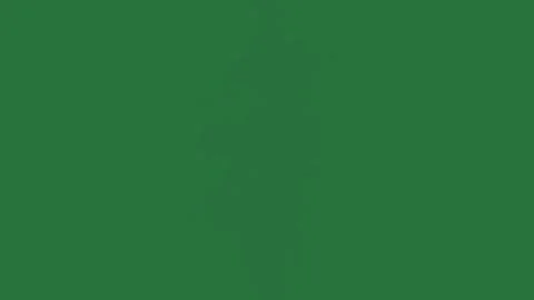 Professional Fire Animated Green Screen Element Stock Footage 338015644