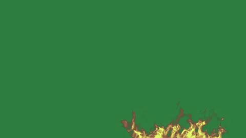 Professional Fire Burning With Flames Green Screen Element Video stock 338015049