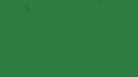 Professional Fire Burning With Smoke Green Screen Element Stock Footage 338012480