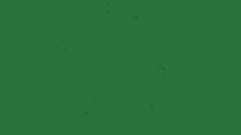 Professional Fire Looping With Burns Green Screen Element Stock Footage 338015496